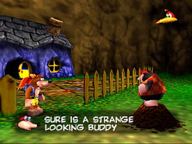 Banjo-Kazooie