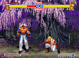 Real Bout Fatal Fury 2, The Newcomers (Set 2)